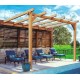 Andorra Pérgola adosada de madera en bruto 3x3m 9m2